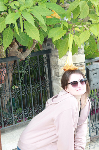 IMG 0887.jpg