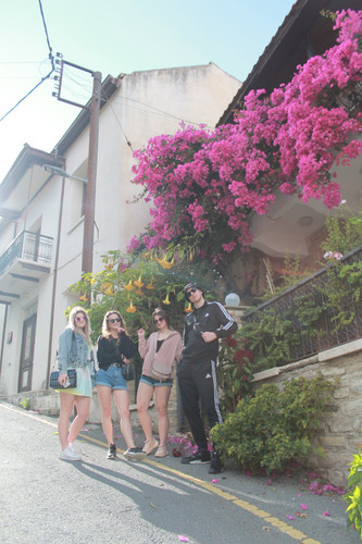 IMG 0890.jpg