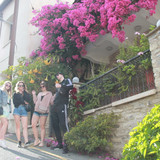 IMG 0889