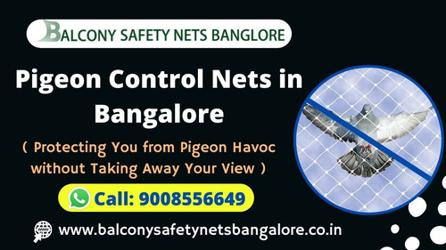 Pigeon Control Safety Nets in Bangalore.jpg