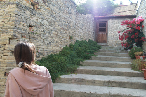 IMG 0878.jpg