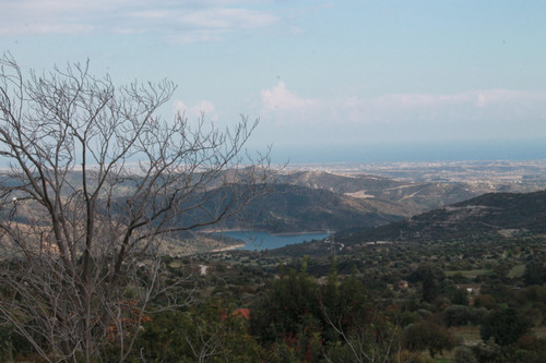 IMG 0986.jpg
