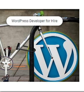 WordPress Developer hire.jpg