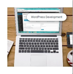 Word Press Development.jpg