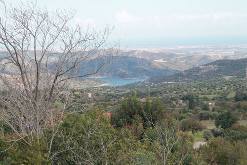 IMG 0987.jpg