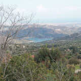 IMG 0987
