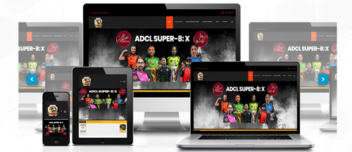 WordPress Website.png