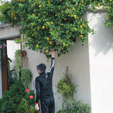 IMG 0966