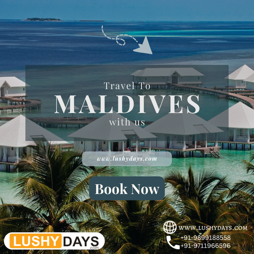 Maldive Tour Package.png