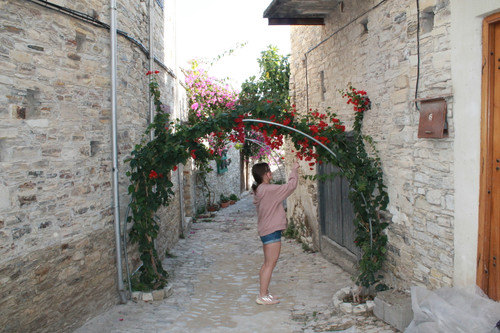 IMG 0925.jpg