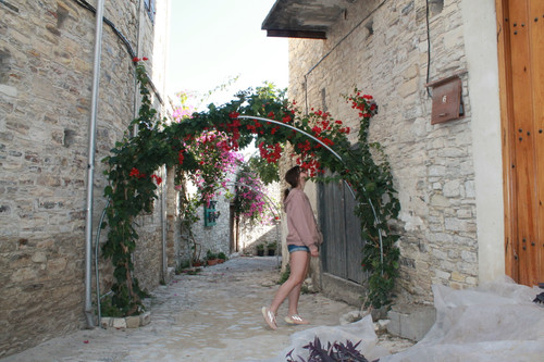 IMG 0927.jpg