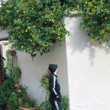 IMG 0964