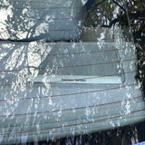 Copy of IMG 7149