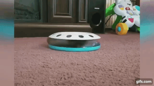 z6EoDq.gif
