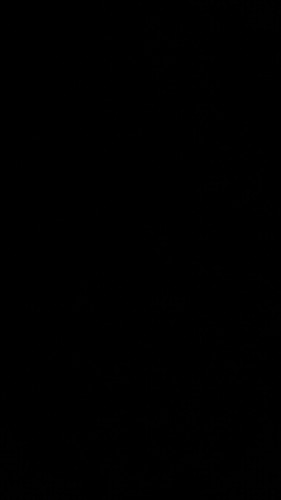 6687FACC 71E4 4917 A27C 2315024F53F7.jpg