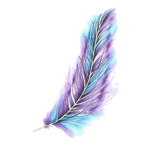 227 2277770 related wallpapers imagenes de plumas removebg preview.png