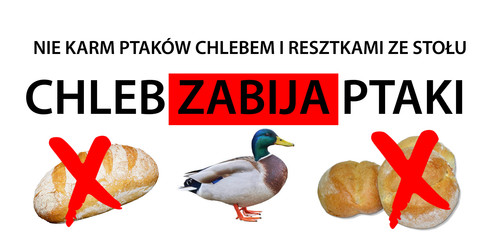 baner ptaki dokarmianie.jpg