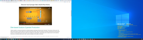 synergenmet diagram.png