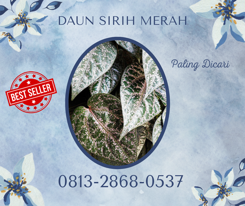 DAUN SIRIH MERAH 01.png