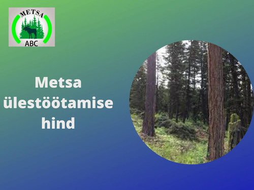 Mis on aktiivne metsamajandamine.jpg