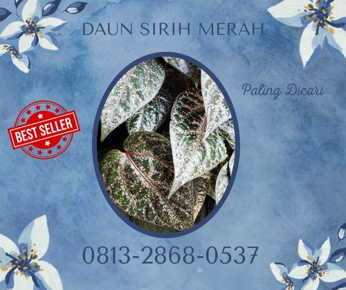 DAUN SIRIH MERAH 02.png