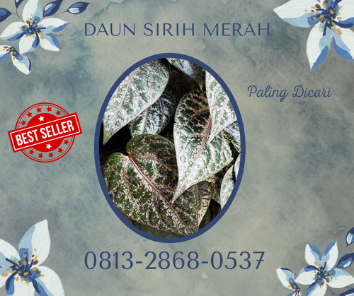 DAUN SIRIH MERAH 04.png