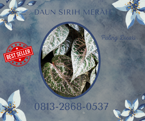 DAUN SIRIH MERAH 05.png