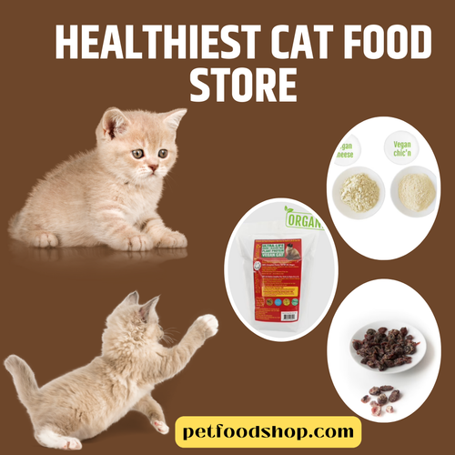 Healthiest Cat Food Store in Minnesota.png