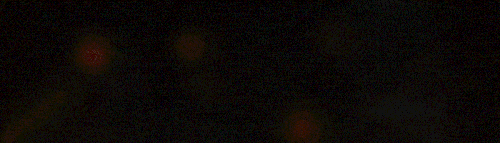 700x200.gif