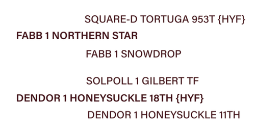 lot 2.png
