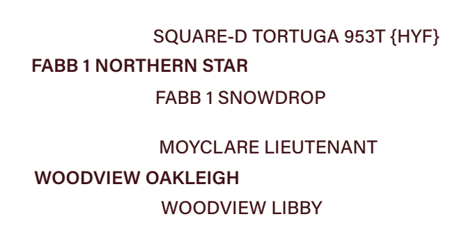 lot 12