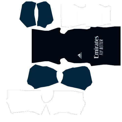 Shirt DLS 21.png