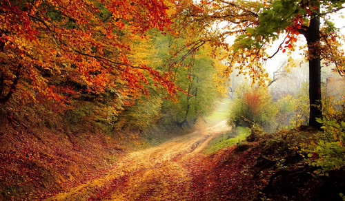 road 1072823.jpg