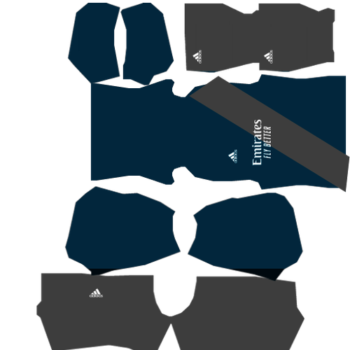 Shirt DLS 21 (1).png