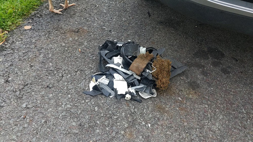 def3a913 bbdc 4816 9408 79f5e81f9e6d Damage 7.jpg