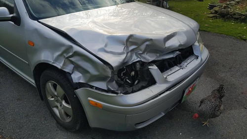def3a913 bbdc 4816 9408 79f5e81f9e6d Damage 1.jpg
