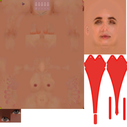 CIT1106.png