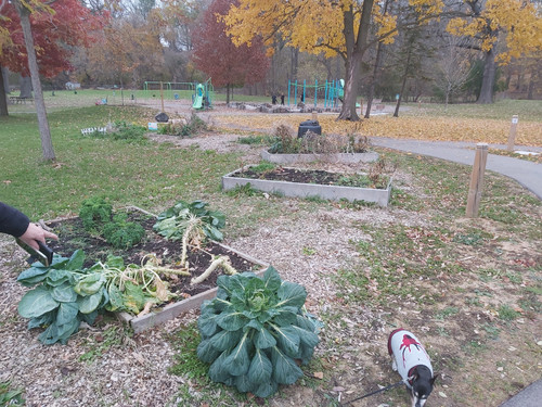 20211117 124455.jpg