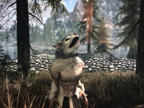 MT Glitch.jpg