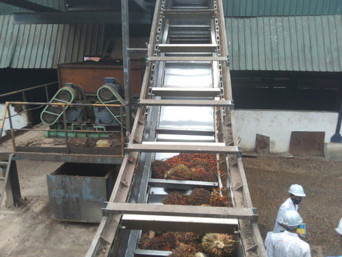 IMG 20221111 113947.jpg