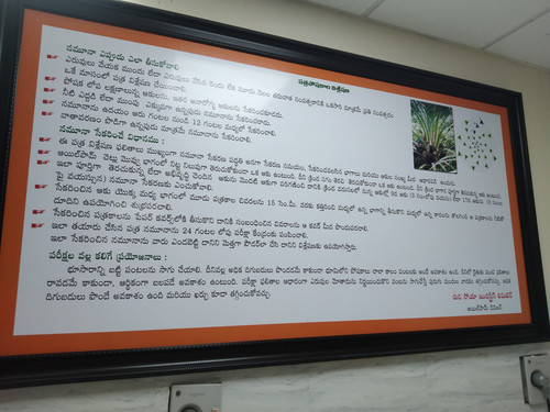 IMG 20221107 114235.jpg