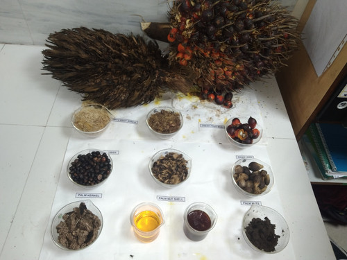 IMG 20221028 133044.jpg