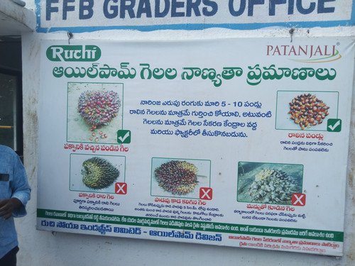 IMG 20221028 124853.jpg