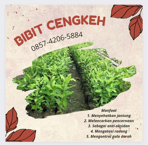 IMG 20221118 180144.jpg