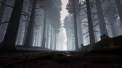 fa jk darkforest2.jpg