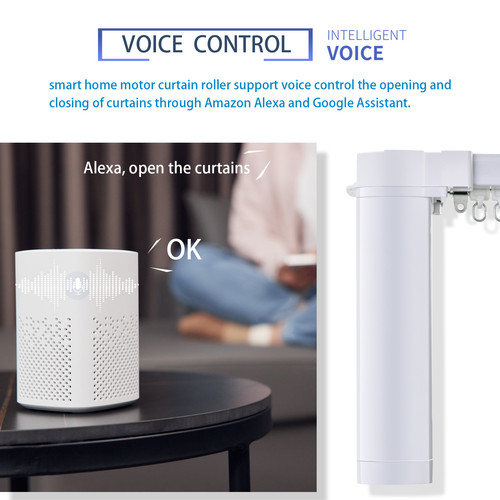 voice control.jpg
