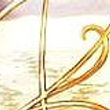 cinders 11