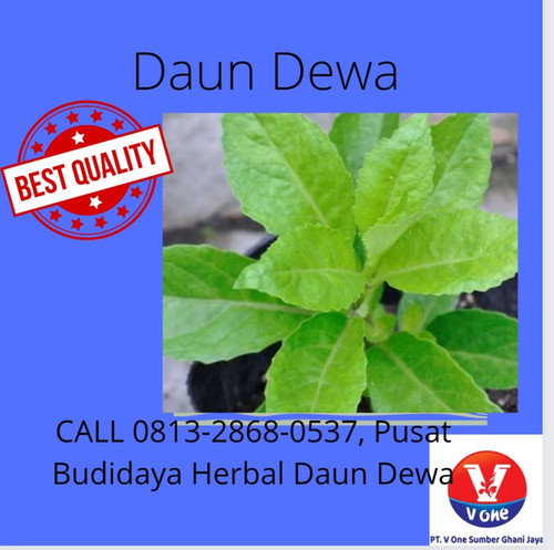 WhatsApp Image 2022 11 17 at 1.06.12 PM.jpg