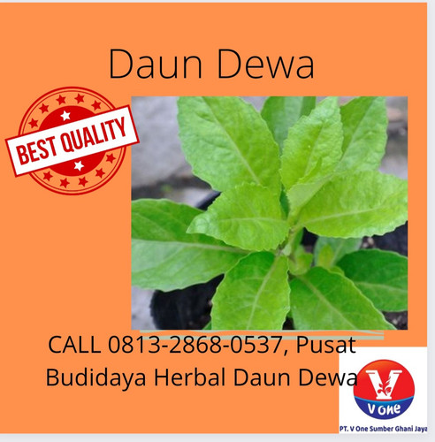 WhatsApp Image 2022 11 17 at 1.06.11 PM.jpg