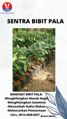 png 20221114 054144 0000.png